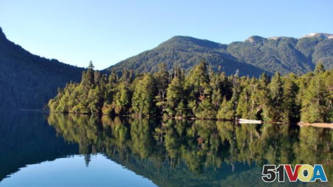 Los Alerces National Park: Lake environment with temperate Alerce forest. (Ricardo Villalba)