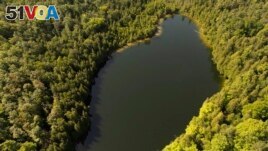Trees surround Crawford Lake in Milton, Ontario., on Monday, July 10, 2023. (Cole Burston/The Canadian Press via AP)