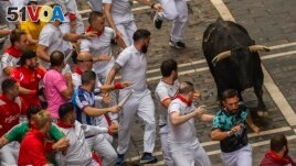 A fighting bull runs among revelers during the San Ferm<I>&#</I>237;n fiestas in Pamplona, Spain, July 11, 2023. (AP Photo/Alvaro Barrientos)