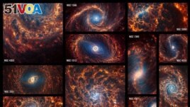 A collection of 19 spiral galaxies, viewed face-on, from the James Webb Space Telescope. NASA, ESA, CSA, STScI, Janice Lee (STScI), Thomas Williams (Oxford), PHANGS Team/Handout via REUTERS 