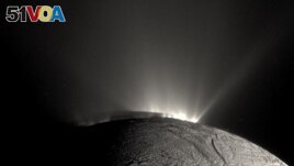 Water from the subsurface ocean of Saturn's moon Enceladus sprays from huge fissures out into space. (Image Credit: NASA/JPL-Caltech/Space Science Institute)