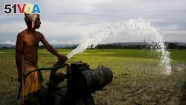 FILE - A man irrigates his field with an electric water pump at Bagh Jap village, about 55 kilometers (34 miles) east of Gauhati, India, Tuesday, Aug. 11 2009. (AP Photo/Anupam Nath)