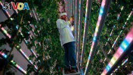 Javier Ramiro, Co-Chief Scientific Officer of Spanish indoor hops farming start-up Ekonoke controls the plantation of hops in Alcobendas, Spain, March 23, 2023. (REUTERS/Juan Medina)