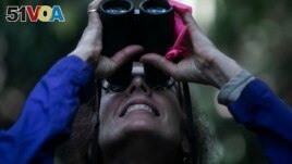 American Biological Anthropologist Karen Strier observes northern muriqui m<I><I>onkey</I></I>s at the Feliciano Miguel Abdala Private Natural Heritage Reserve, in Caratinga, Minas Gerais state, Brazil, June 14, 2023. (AP Photo/Bruna Prado)
