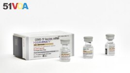 This photo provided by Pfizer in September 2023 shows single-dose vials of the company's updated COVID vaccine for adults. U.S. regulators have approved updated COVID-19 vaccines from Pfizer and Moderna, shots. (Pfizer via AP)
