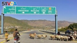FILE - A motorcyclist drives past sheep on a newly built road in Haripur, Pakistan, on Dec. 22, 2017. China launched the Belt and Road Initiative in 2013 to expand its trade and influence by building roads, ports and other infrastructure overseas. (AP Photo/Aqeel Ahmed, File)