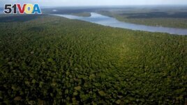 FILE - View of the forest in Combu Island on the banks of the Guama River, near the city of Belem, Para state, Brazil, Aug. 6, 2023. (AP Photo/Eraldo Peres, File)