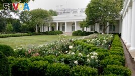 FILE - A view of the restored Rose Garden at the White House in Washington, Saturday, Aug. 22, 2020. (AP Photo/Susan Walsh)