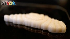 FILE - A piece of freshly 3D-printed cultivated grouper fish is seen at the offices of Steakholder Foods in Rehovot, Israel, April 23, 2023. (REUTERS/Amir Cohen)