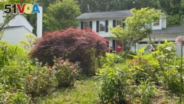 Janet and Jeffrey Crouch battled their homeowner's association for the right to keep their garden full of native plants rather than replacing them with grass, Columbia, Maryland, May 10, 2023. (VOA)