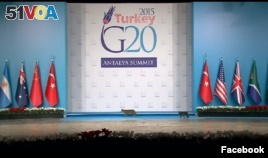 Cats take center stage at G-20 summit in Turkey