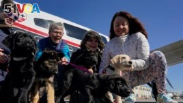 Volunteer Puppy Raisers from left, Lynette Gebhardt, Debbie Dugan, Leigh Goetzke and Debbie Roschli pose with puppies, Feb. 8, 2022.
