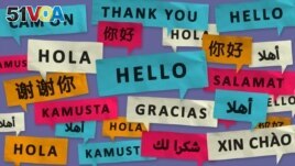 Hello and thank you in different languages. (VOA)