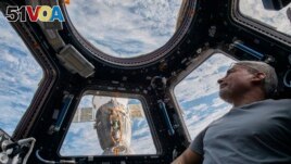 In this photo provided by NASA, U.S. astronaut and Expedition 66 Flight Engineer Mark Vande Hei peers at the Earth below from inside the seven-windowed cupola, the International Space Station's window to the world on Feb. 4, 2022. (Kayla Barron/NASA via AP)