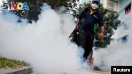 Workers in Singapore spray chemicals to fight mosquitos which can carry Zika.