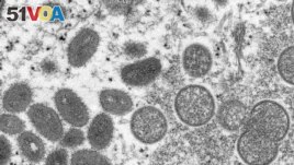 This 2003 electron microscope image made available by the Centers for Disease Control and Prevention shows mature, oval-shaped m<I><I>onkey</I></i>pox virus. European and American health officials have identified several cases of m<i><I>onkey</I></i>pox outside of Africa recently. 