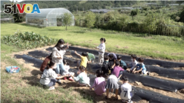 Students at Cheontae Elementary School learn agriculture skills, such as how to tend a garden. September 20, 2022.