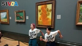 Activists of Just Stop Oil glue their hands to the wall after throwing soup at a van Gogh's Sunflowers painting at the National Gallery in London, Britain, Oct. 14, 2022. (Just Stop Oil/Handout via Reuters)