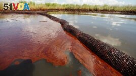In this June 26, 2010 file photo, oil from the Deepwater Horizon oil spill floats on the surface of the water in Bay Jimmy in the southern U.S. state of Louisiana. (AP Photo/Gerald Herbert)