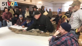 In this Feb. 2, 2019 photo, potential buyers examine a coyote pelt on a table at a trappers' auction in Herkimer, N.Y. (AP Photo/Michael Hill)