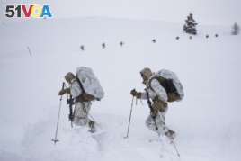 A group of U.S. Marines walk along a snow-covered trail during advanced cold-weather training at the Marine Corps Mountain Warfare Training Center Sunday, Feb. 10, 2019, in Bridgeport, Calif. (AP Photo/Jae C. Hong)