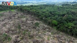 FILE - An aerial view shows a deforested area during an operation to combat deforestation near Uruara, Para State, Brazil January 21, 2023. (REUTERS/Ueslei Marcelino)