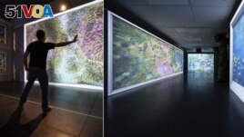 Photos showing images from Monet's Garden: The Immersive Experience in Berlin, on Jan. 11, 2022. (Lukas Schulze/DKC/O&M via AP)
