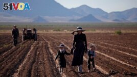 A woman walks with her two children through an agricultural field in the Mennonite community of El Sabinal, Ascension, Chihuahua, Mexico, April 29, 2015. (REUTERS/Jose Luis Gonzalez )