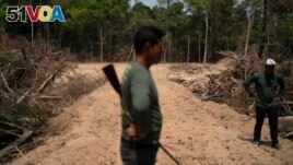 Monhire Menkragnotire, of the Kayapo indigenous community, center, surveys an area where illegal loggers opened a road to enter Menkragnotire indigenous lands. (AP Photo/Leo Correa, File)