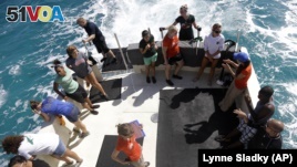 A group of University of Miami students and first generation college-bound students in the Upward Bound program joined researchers in a shark tagging mission in the Florida Keys.