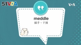 学个词--meddle