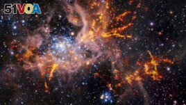 A composite image shows the star-forming region called 30 Doradus, also known as the Tarantula Nebula in this undated handout picture. (ESO, ALMA (ESO/NAOJ/NRAO)/Wong et al., ESO/M.-R. Cioni/VISTA Magellanic Cloud survey, Cambridge Astronomical Survey Unit/Handout via REUTERS)