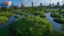 This photo shows a wetland part at Benjakitti Park in Bangkok, Thailand, Friday, April 1, 2022. (AP Photo/Sakchai Lalit)