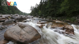 The Wassataquoik Stream flows through Township 3, Range 8, Maine, on land owned by environmentalist Roxanne Quimby, the founder of Burts Bees.