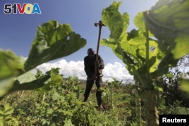 Expanded Partnership To Help Smallholder Farmers