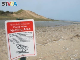 In this May 30, 2019 photo, a sign warns visitors of a piping plover nesting area in Glen Haven, Mich. (AP Photo/John Flesher)