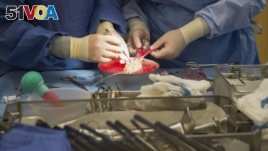 FILE - In this June 28, 2016, file photo, surgeons work on a kidney during a kidney transplant surgery at MedStar Georgetown University Hospital in Washington. (AP Photo/Molly Riley)