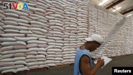 Philippines Prepares for First Rice Harvest Since Typhoon Haiyan
