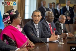 African Leaders Discuss Democracy, Investment with Obama