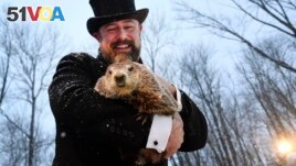 FILE - Groundhog Club handler A.J. Dereume holds Punxsutawney Phil, the weather predicting groundhog, during the 135th celebration of Groundhog Day on Gobbler's Knob in Punxsutawney, Pennsylvania Feb. 2, 2021. (AP Photo/Barry Reeger)