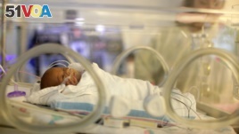 FILE - Melinda Star Guido lies in an incubator at the Los Angeles County-USC Medical Center in Los Angeles, Dec. 14, 2011. At birth, Melinda Star Guido tipped the scales at 9 1/2 ounces. Most babies her size don't survive, but doctors are preparing to sen