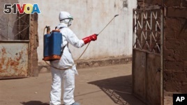 Researchers Develop Real-Time Monitoring for Ebola Outbreaks
