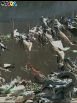 UN: Plastic Accounts for 13B in Damage to Marine Habitat