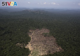 FILE: An aerial view of a tract of Amazon jungle recently cleared by loggers and farmers near the city of Novo Progresso, Para state, Brazil, Sept. 22, 2013.