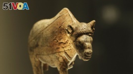 A sculpture of an adult female bison worked from a large piece of mammoth tusk dates at least 21,000 years old, discovered at Zaraysk, Osetr Valley, Russia, is seen on display in an exhibition 'Ice Age Art : arrival of the modern mind' at the British Museum