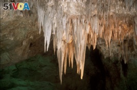 Hanging from the ceiling in the Big Room, the group of huge stalactites is known as the Chandelier.