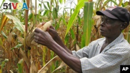 Report: Double African Agriculture R&D