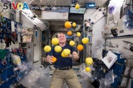 Scott Kelly with lemons in space. Researchers studied how diet affected his microbiome as part of NASA's Twins Study.