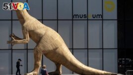 A boy walks by a model of a dinosaur wearing a face mask, during a partial lockdown to prevent the spread of the coronavirus, at the Museum of Natural History in Brussels, Tuesday, May 19, 2020. (AP Photo/Virginia Mayo)