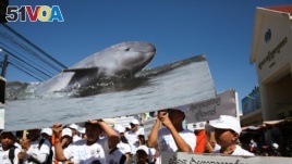 A group holds a rally to raise awareness about Irrawaddy Dolphin, fresh water dolphin in Mekong River.